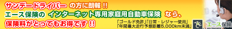 エース保険