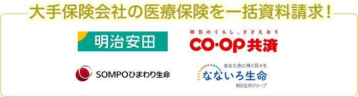 大手保険会社の医療保険を一括資料請求！