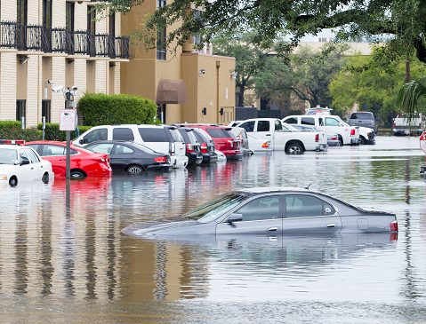 洪水で道路が冠水した時の車へのダメージ 水に浸った車の注意点 自動車保険一括見積もり