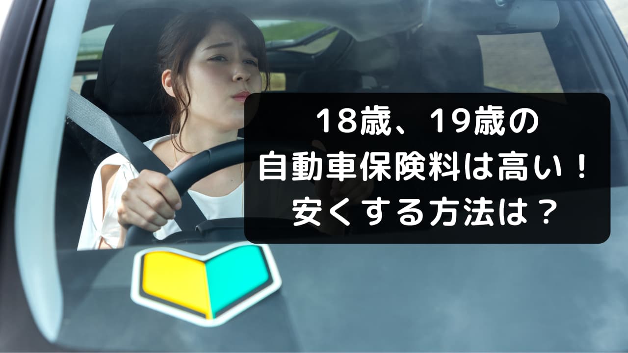 18歳 19歳の自動車保険料は高い 安くする方法は 自動車保険一括見積もり